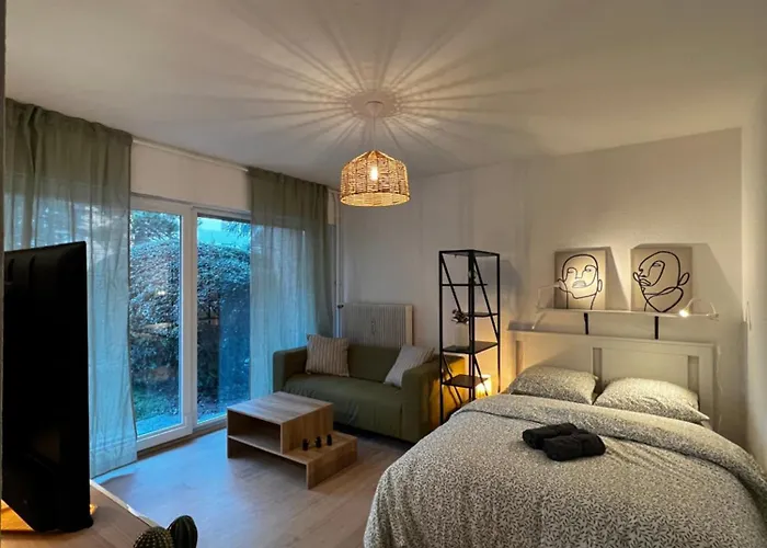 Proche Centre Mulhouse - Studio Cosy